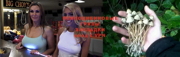 MDMA Бородино